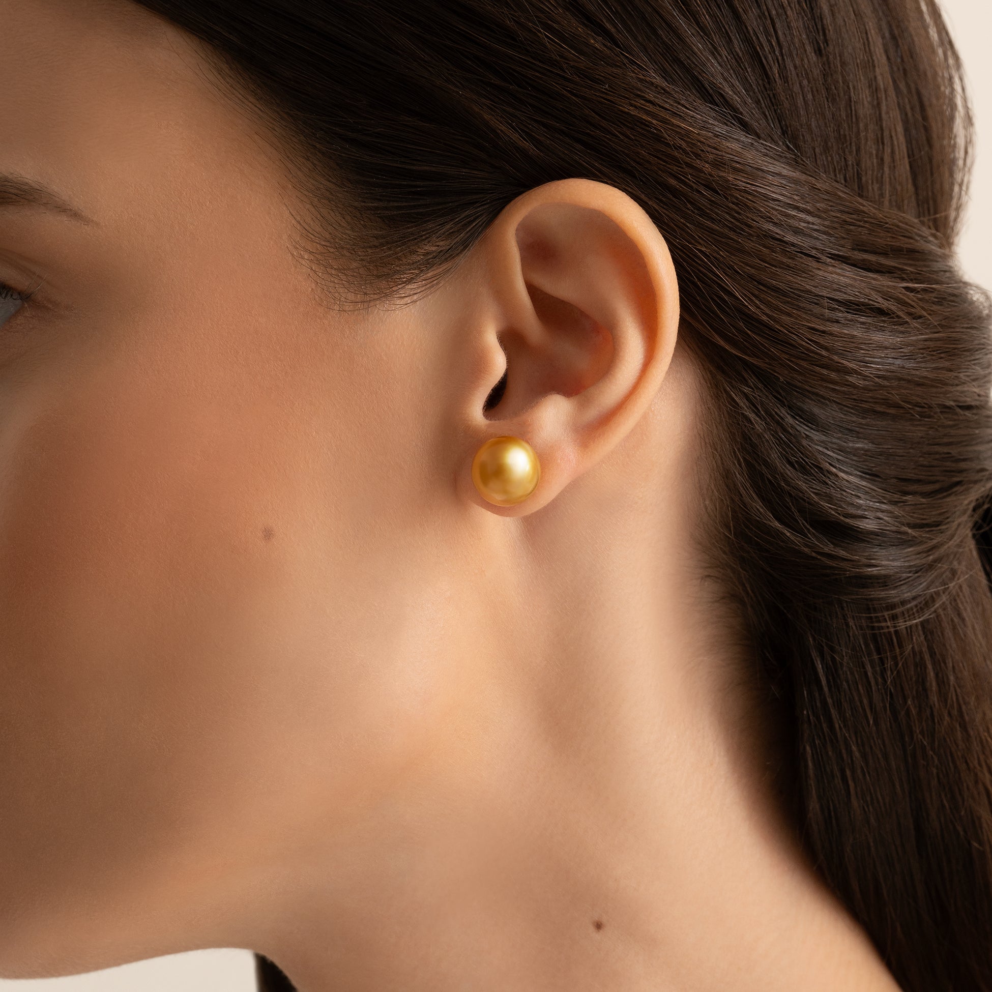 Les Classiques Earrings